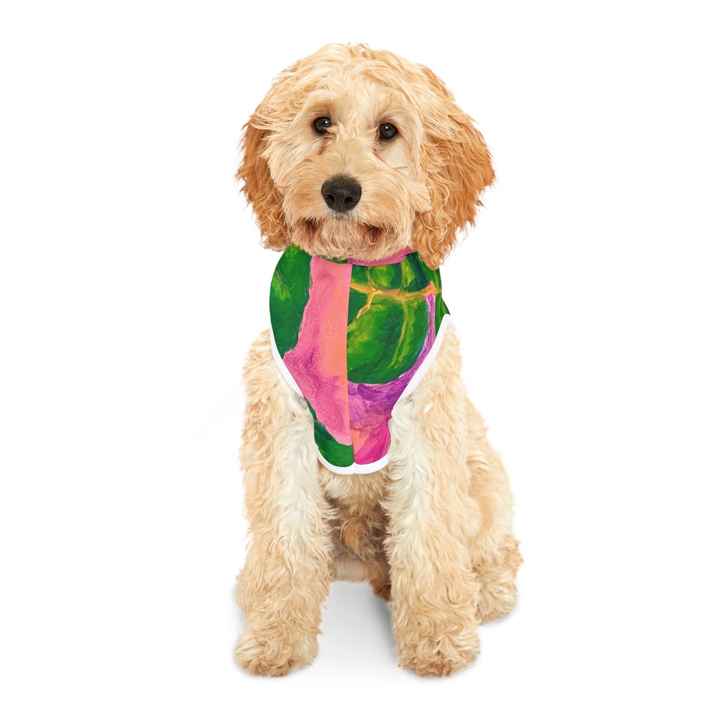 Sunset Seagrapes Colorful Pet Hoodie for Trendy Pets
