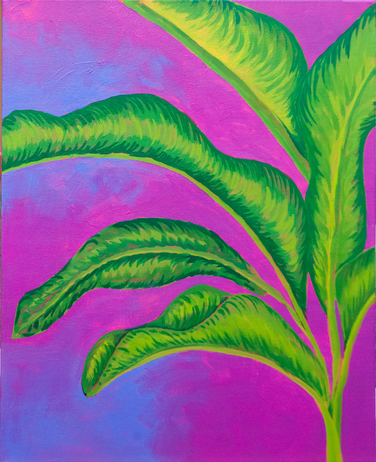 Tropical Daydream — original acrylic on canvas, 18 × 24 inches, by Kimberly Hew — vibrant unplanned tropical botanical painting in bold Caribbean colour